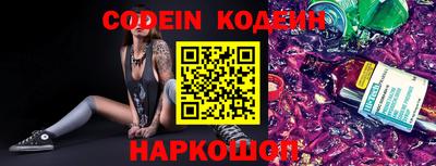 индика Пенза