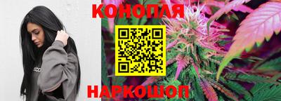 индика Пенза